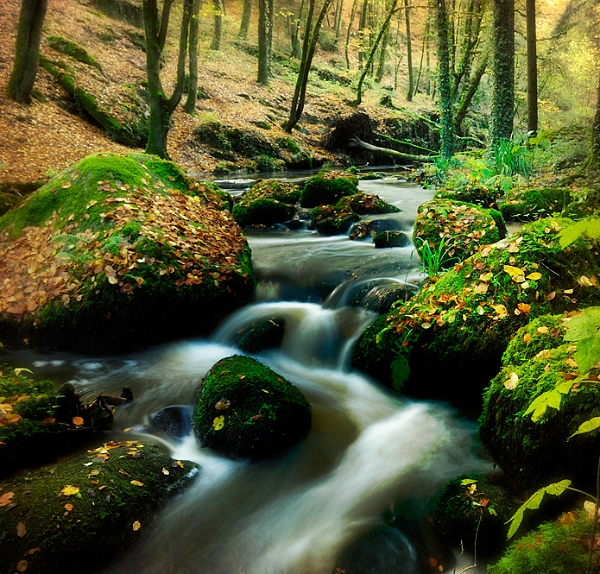 Paysage10_11_10 n01bis.jpg